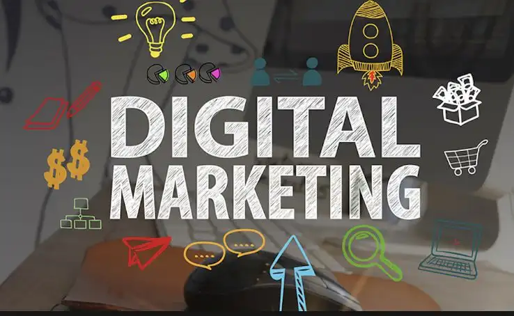 Blog of related to digital marketing in Freelance Digital Marketer In Malappuram